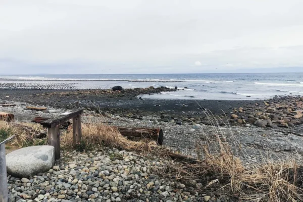 Seaside Nature Park – Faye Smith Memorial Pavilion
