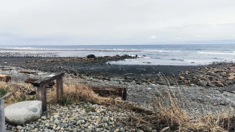 Seaside Nature Park – Faye Smith Memorial Pavilion