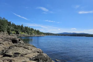 Beachcomber Regional Park