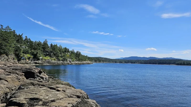 Beachcomber Regional Park