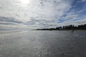 Yambury Public Beach Access