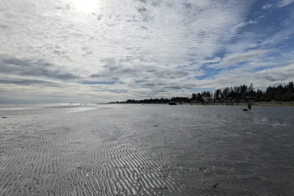 Yambury Public Beach Access