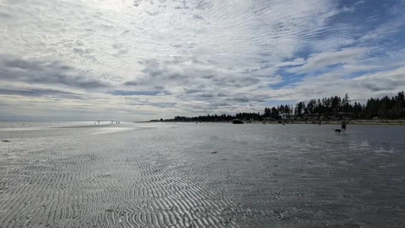Yambury Public Beach Access