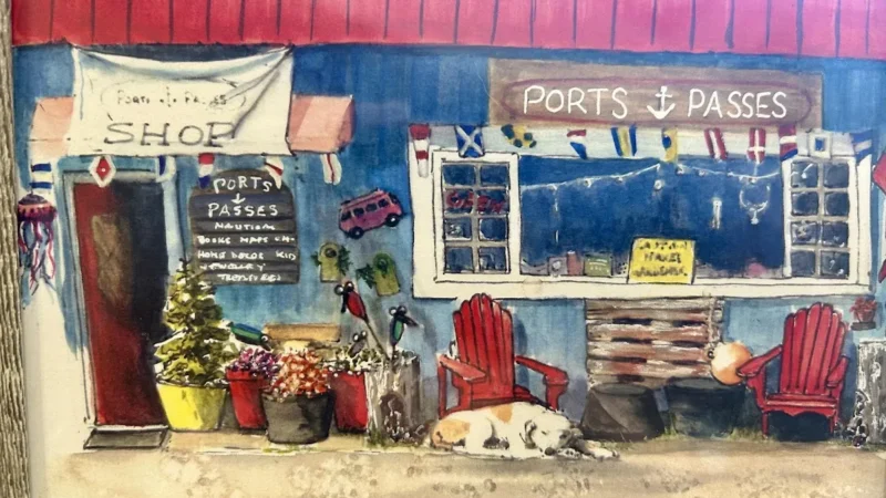 Ports & Passes Shop