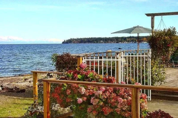 Buena Vista by the Sea