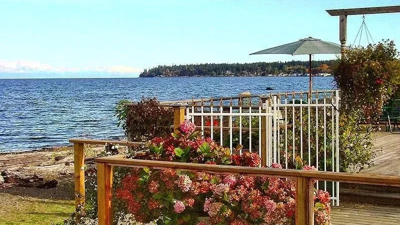 Buena Vista by the Sea