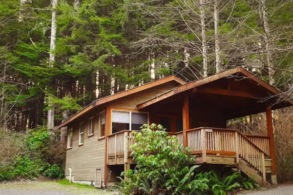 Evergreen Forest Cabins