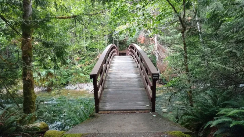 Little Qualicum Falls Campground