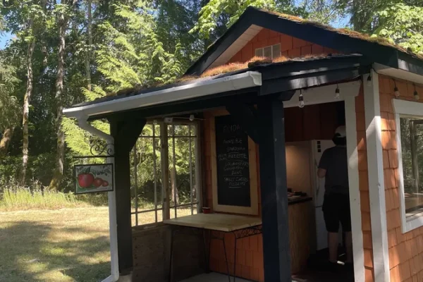 Elsas Artisan Bakery