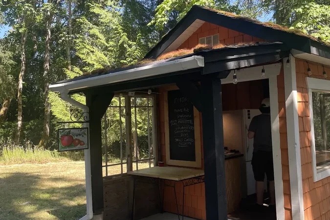 Elsas Artisan Bakery