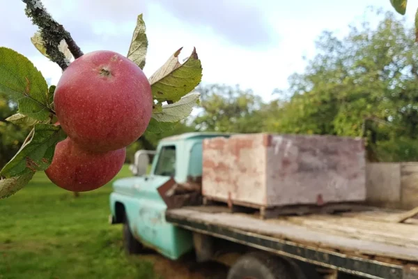 Merridale Cidery & Distillery