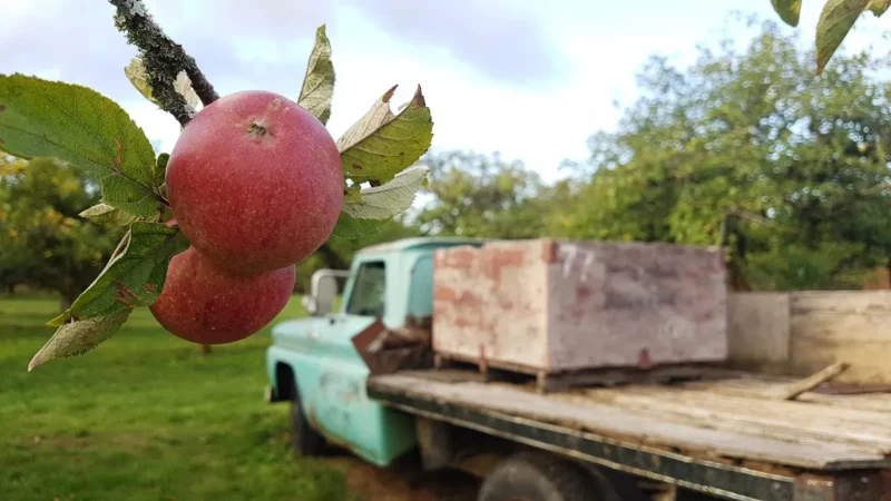 Merridale Cidery & Distillery