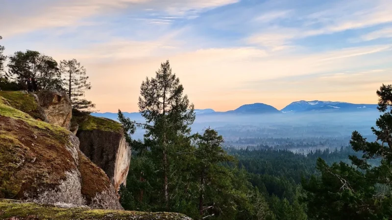 Little Mountain Lookout