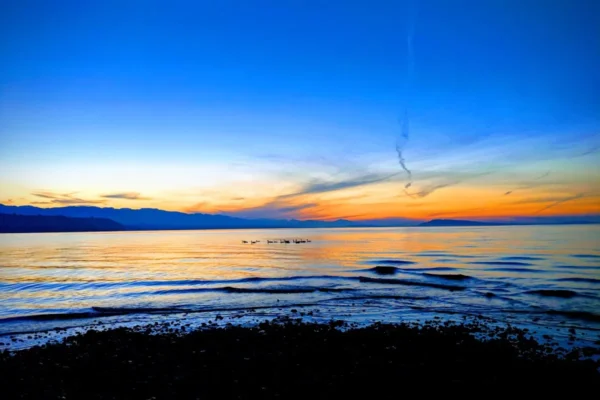Qualicum National Wildlife Area Nanoose Bay