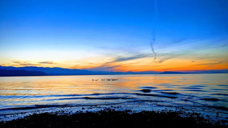 Qualicum National Wildlife Area Nanoose Bay