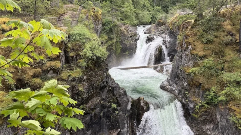 Upper Little Qualicum Waterfalls
