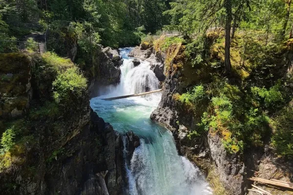 Little Qualicum Falls Local Trail Access