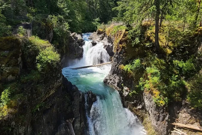 Little Qualicum Falls Local Trail Access