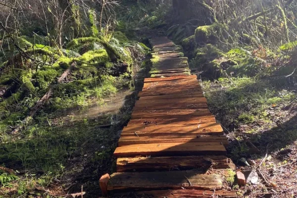 Qualicum Powerline Trails