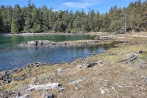 Moorecroft Regional Park