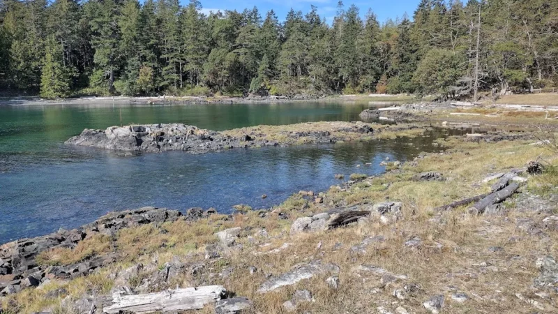 Moorecroft Regional Park