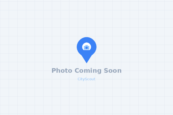 Open Collar Men’s Clothing